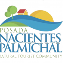 Nacientes de Palmichal